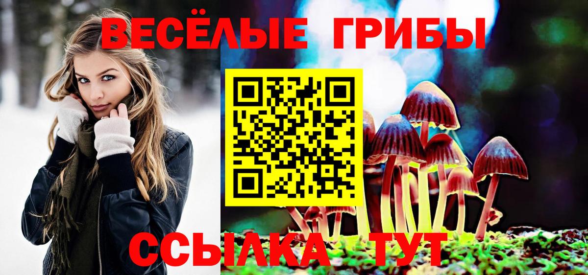 Псилоцибиновые грибы мицелий  Вход с VPN  Галлюциногенные грибы MAGIC MUSHROOMS  Электрогорск 