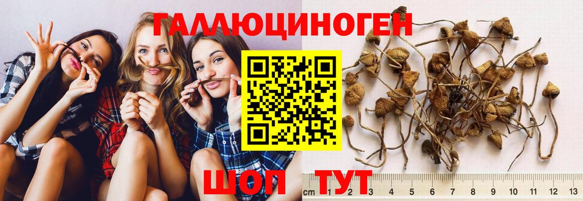 Галлюциногенные грибы MAGIC MUSHROOMS Электрогорск